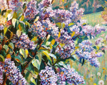 Lilac Sunday in Arboretum